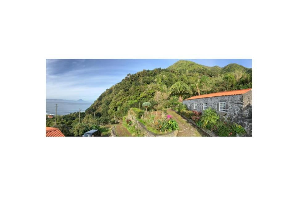 Vistalinda Farmhouse Faja dos Vimes Buitenkant foto