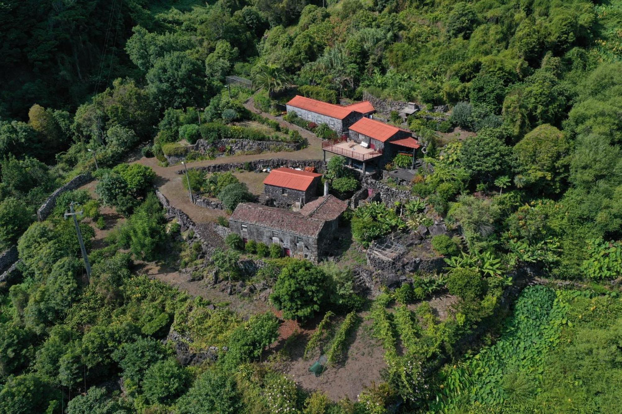 Vistalinda Farmhouse Faja dos Vimes Buitenkant foto
